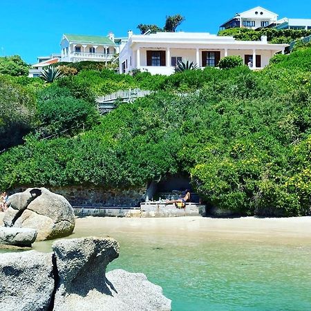 Bosky Dell On Boulders Beach Simon's Town Eksteriør billede