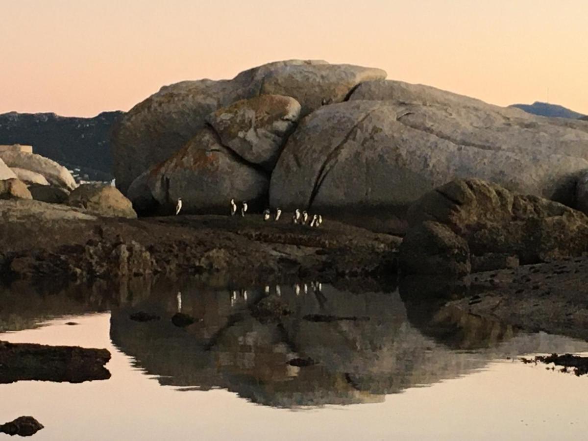 Bosky Dell On Boulders Beach Simon's Town Eksteriør billede