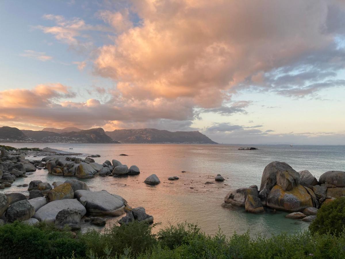 Bosky Dell On Boulders Beach Simon's Town Eksteriør billede